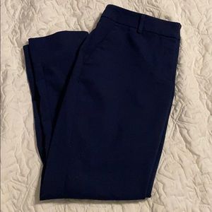 Express Columnist Ankle Navy Work Pants